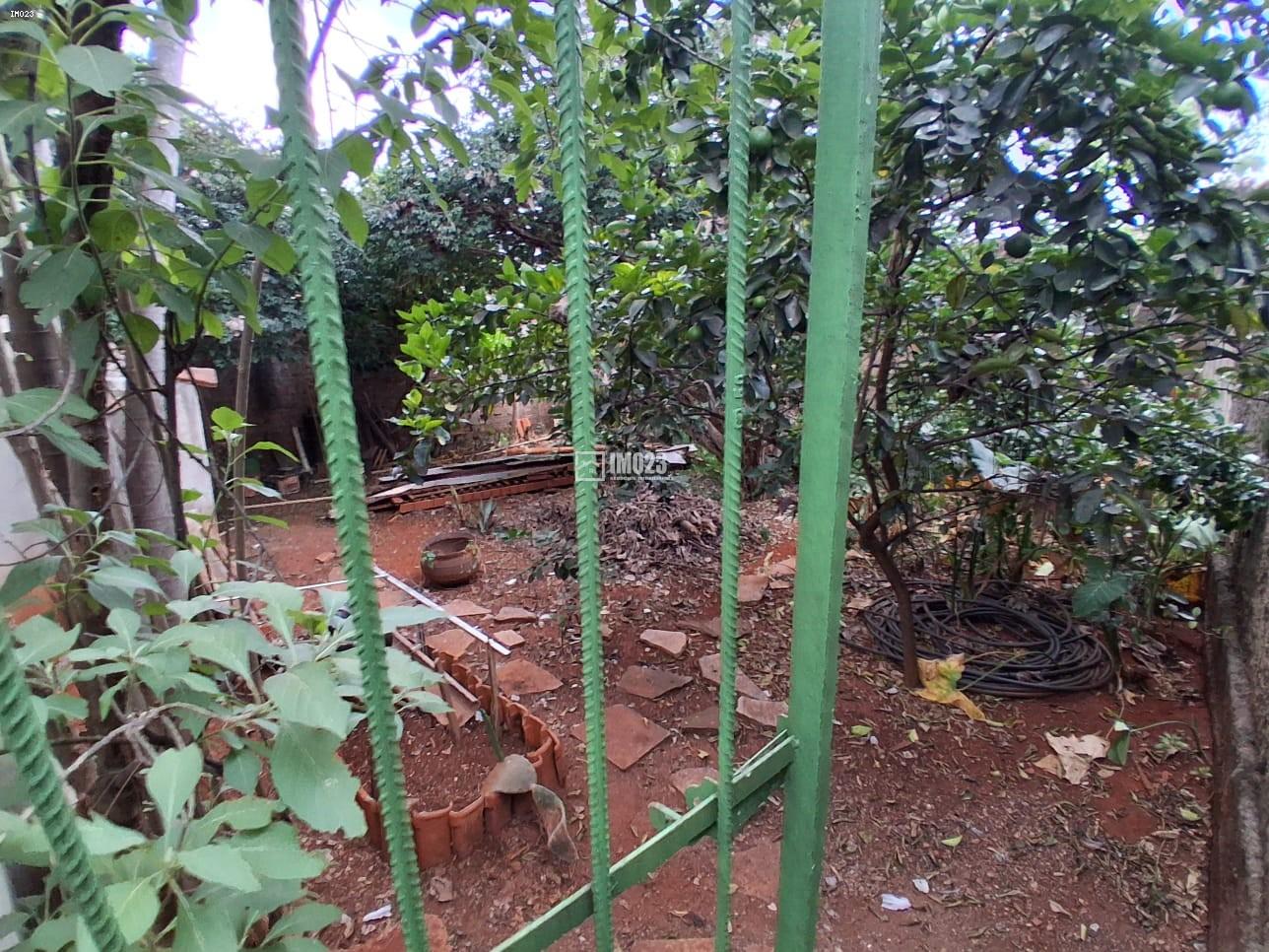 Casa, 5 quartos - Foto 2