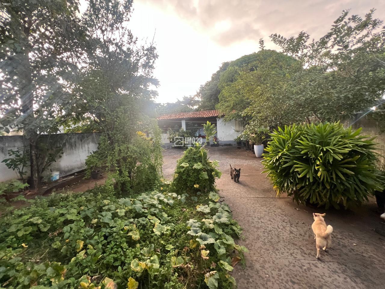 Terreno, 462 m² - Foto 6