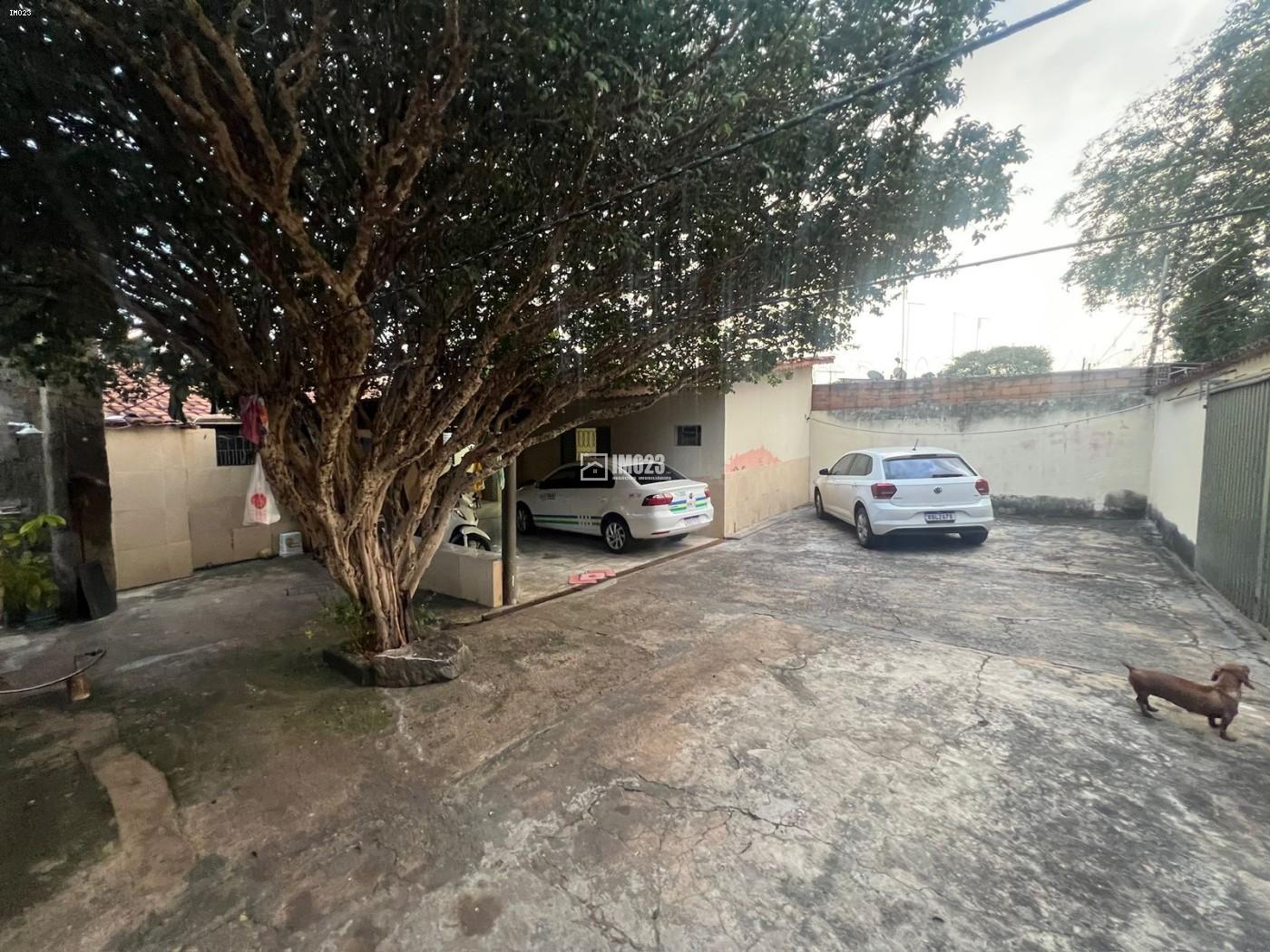 Casa, 4 quartos - Foto 13