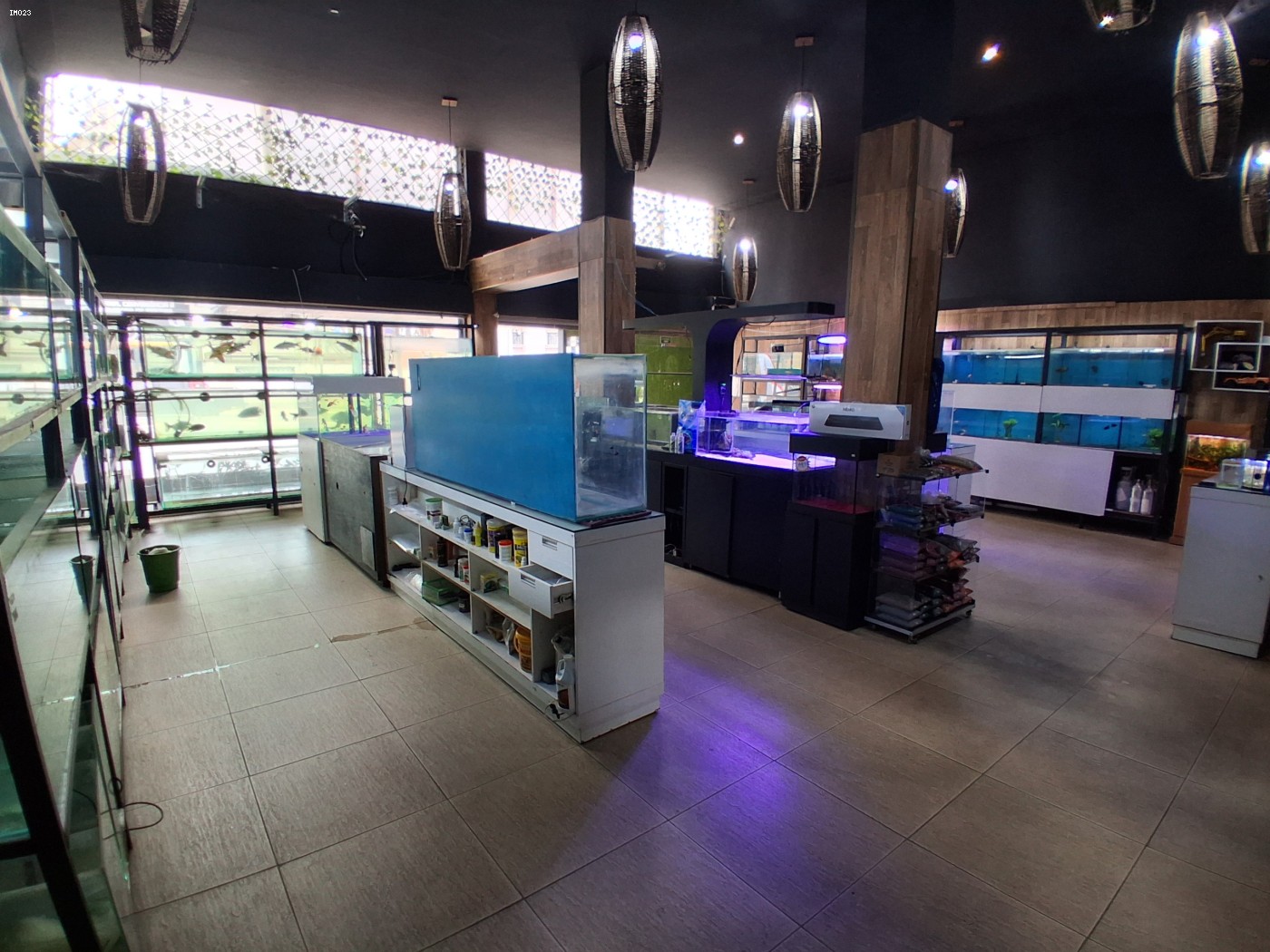 Prédio Inteiro - Foto 3