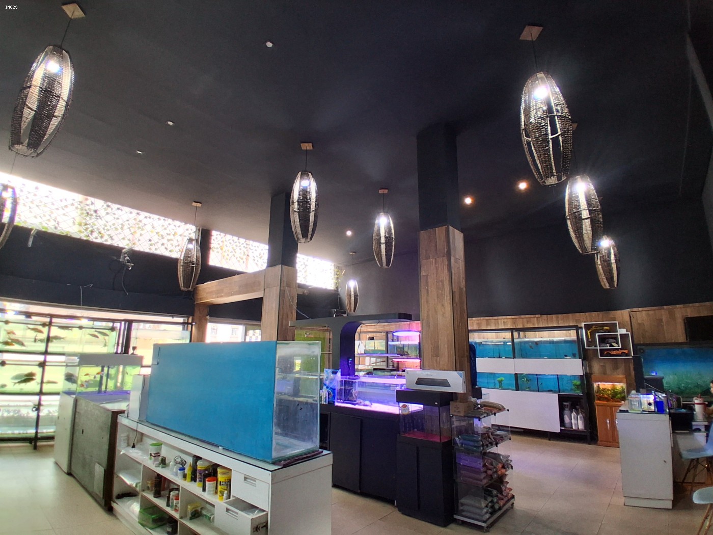 Prédio Inteiro - Foto 4