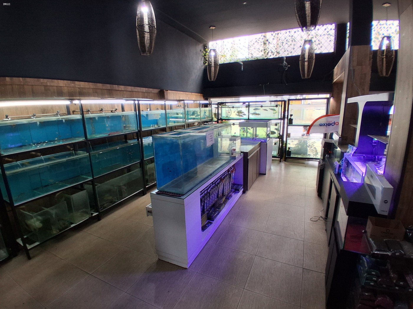 Prédio Inteiro - Foto 5