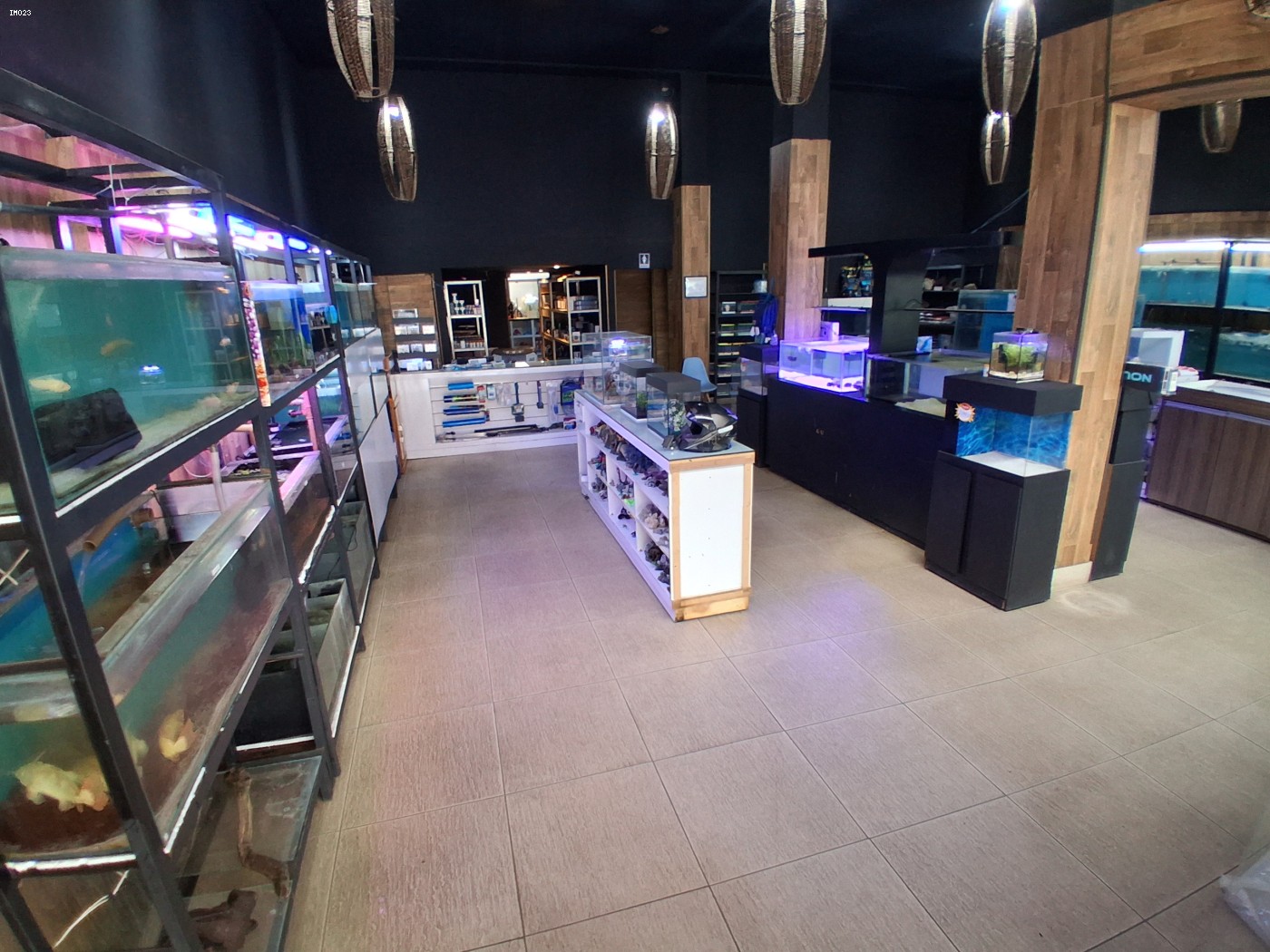 Prédio Inteiro - Foto 9