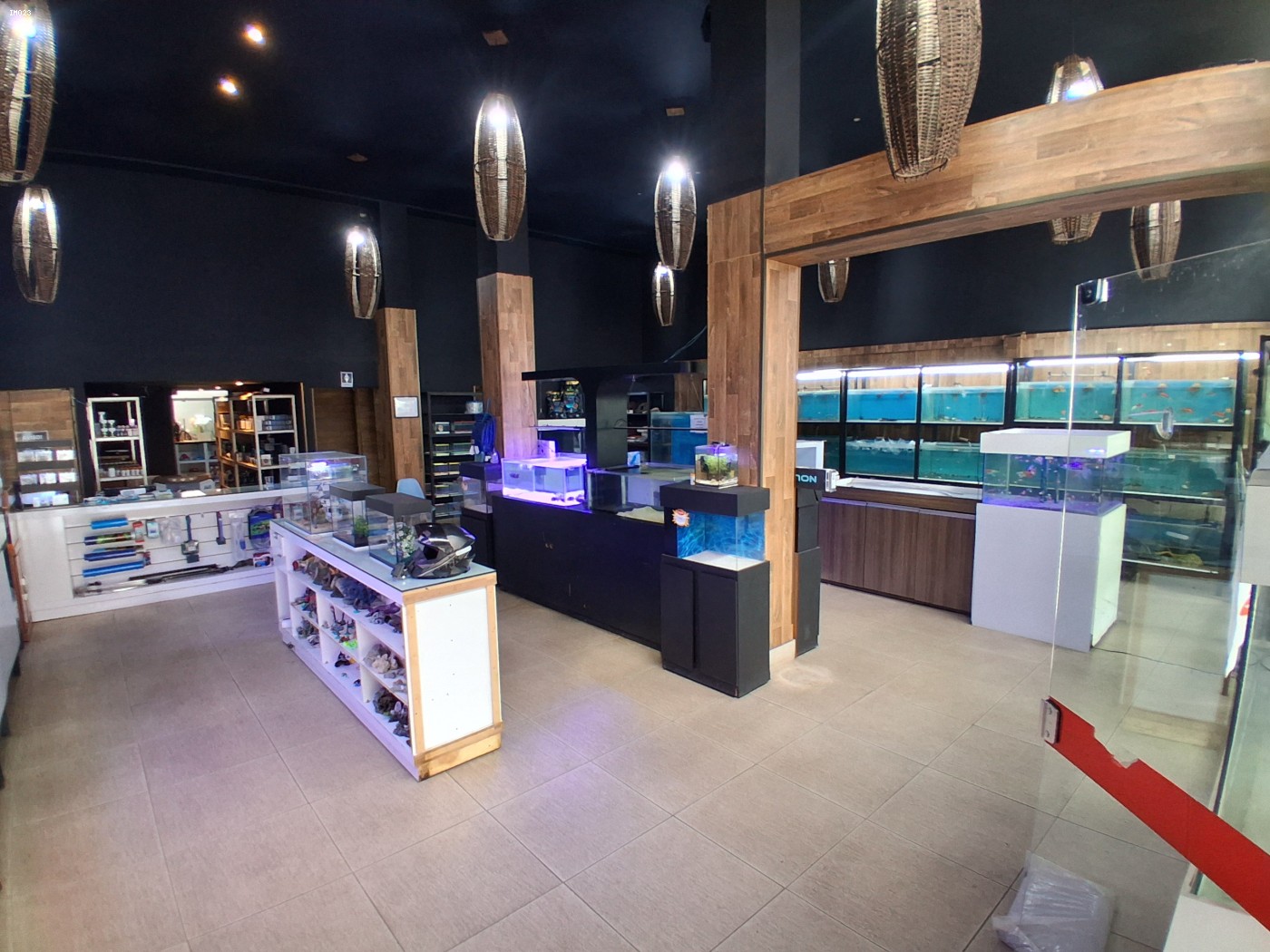 Prédio Inteiro - Foto 10