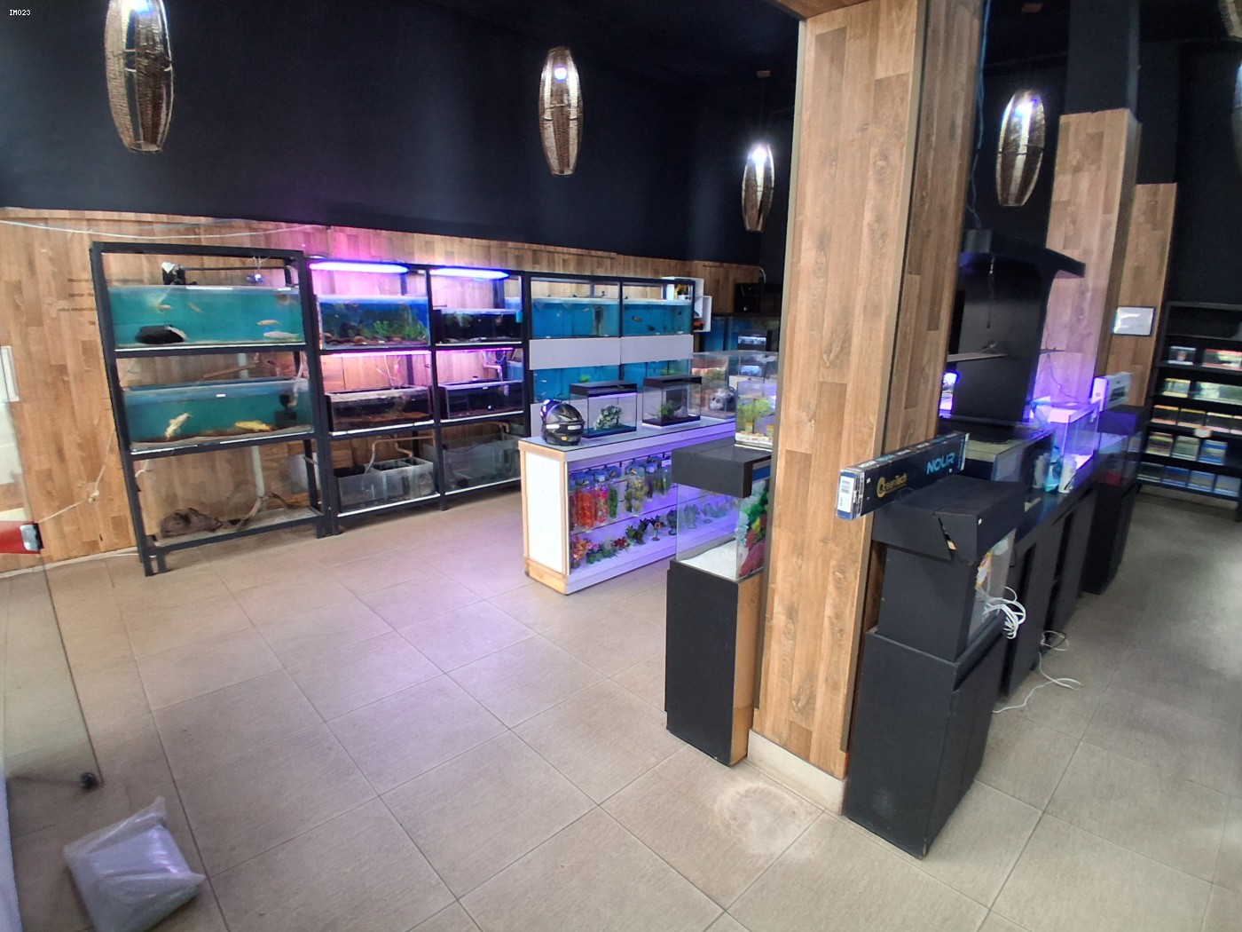 Prédio Inteiro - Foto 13