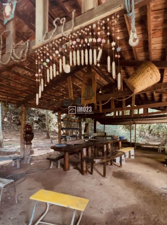 Chácara, 3 hectares - Foto 4