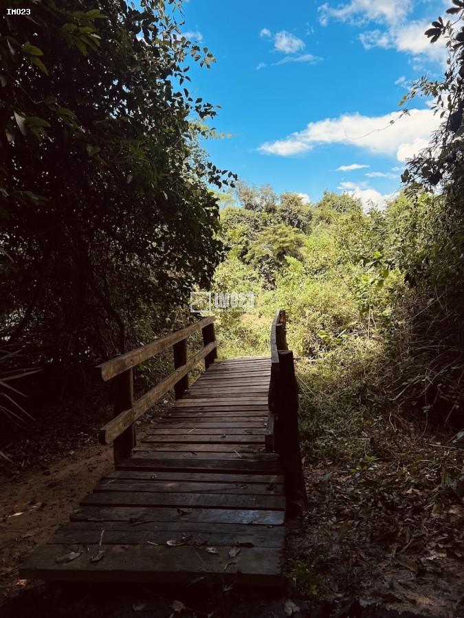 Chácara, 3 hectares - Foto 7