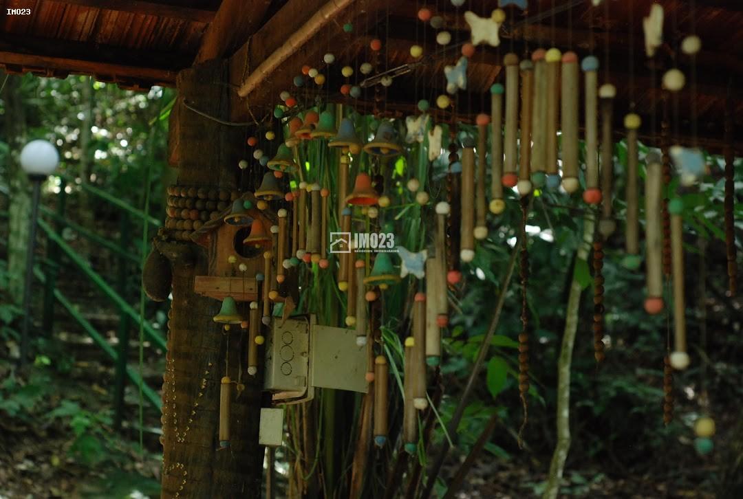 Chácara, 3 hectares - Foto 6