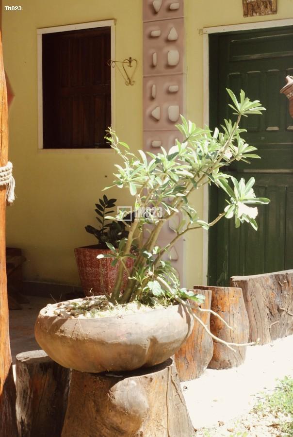 Chácara, 3 hectares - Foto 10