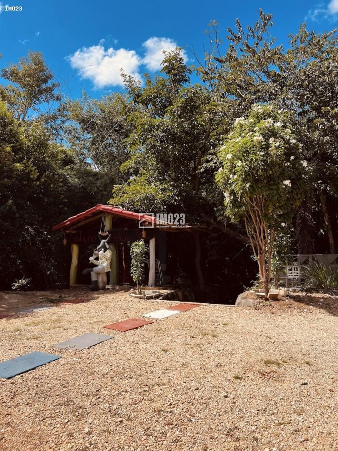 Chácara, 3 hectares - Foto 12