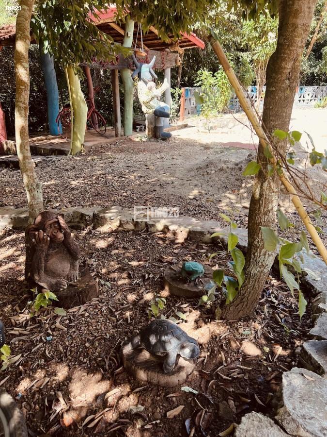 Chácara, 3 hectares - Foto 19