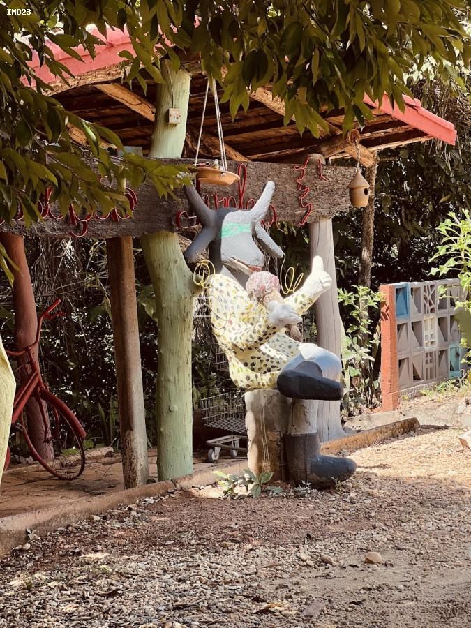 Chácara, 3 hectares - Foto 18