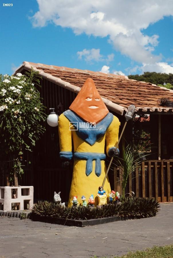 Chácara, 3 hectares - Foto 22