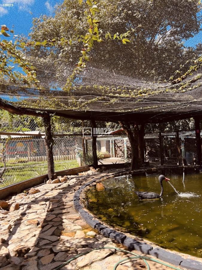 Chácara, 3 hectares - Foto 21