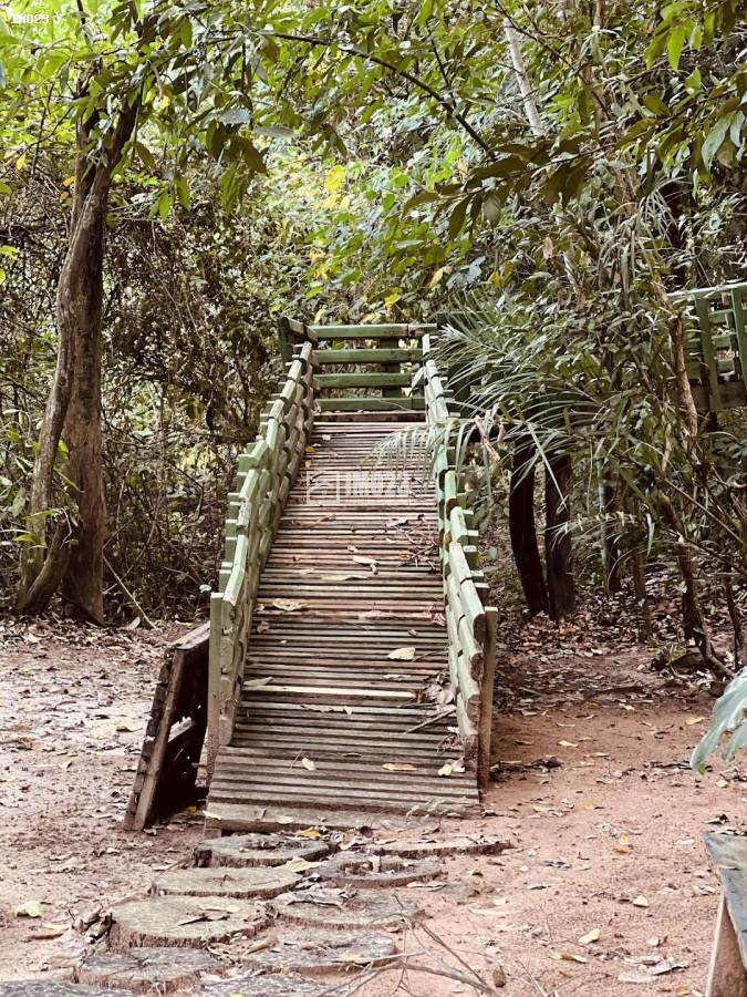 Chácara, 3 hectares - Foto 24