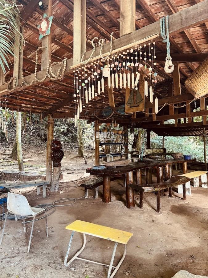 Chácara, 3 hectares - Foto 26