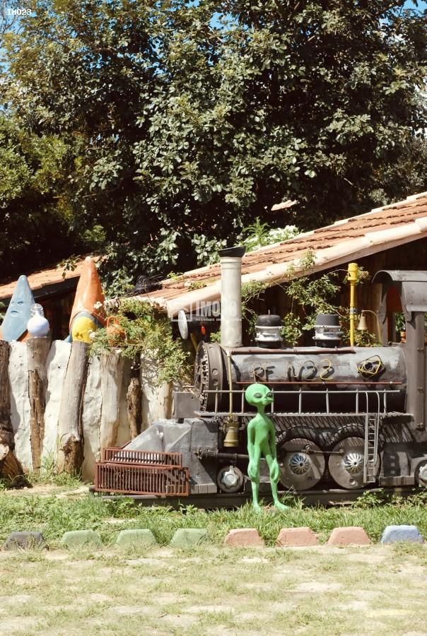 Chácara, 3 hectares - Foto 28