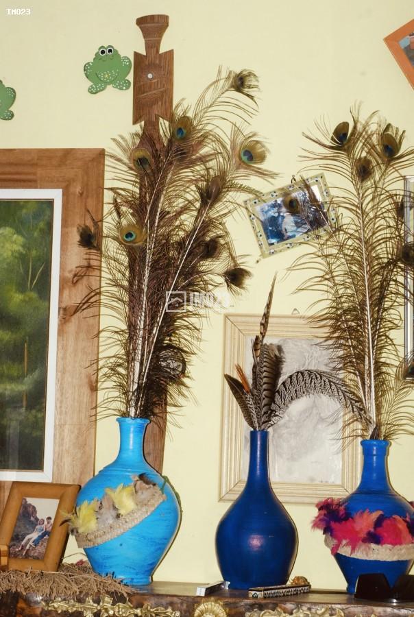 Chácara, 3 hectares - Foto 34