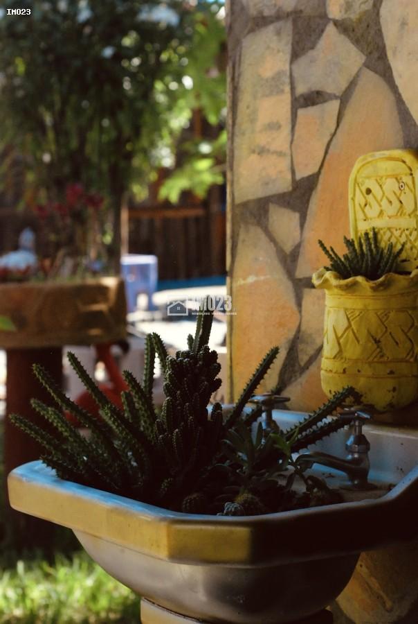 Chácara, 3 hectares - Foto 33