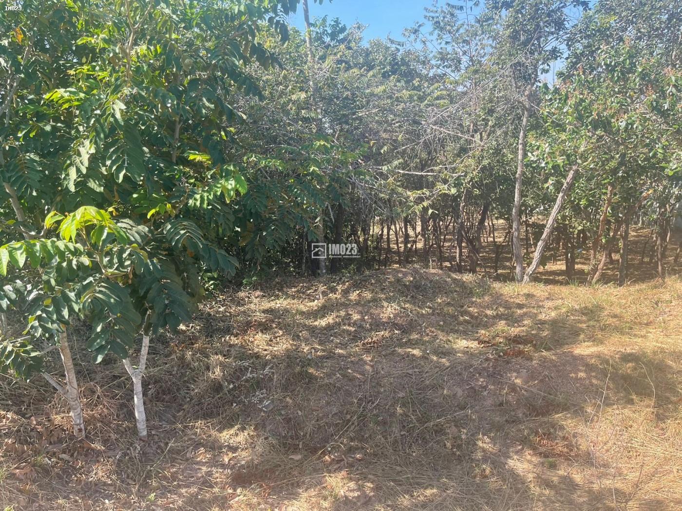 Fazenda, 1800 m² - Foto 2